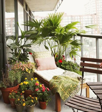 Красива градина на балкона